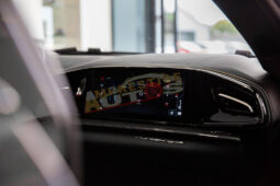 
										Ferrari Purosangue – 2025  – Gris Métallisée  –  Essence full									