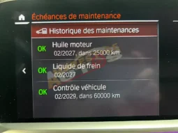 BMW X7 G07 M50i 530 ch (2019)