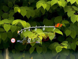 Mercedes-AMG GLE 63 S 4MATIC – (2025) – Essence