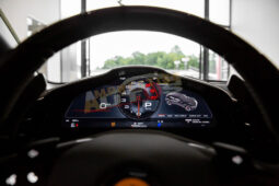 
										Ferrari Purosangue – 2025  – Gris Métallisée  –  Essence full									